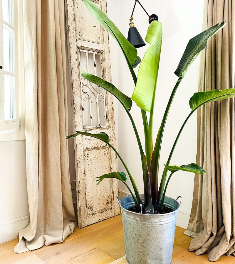 450D0F79-618C-47F5-8624-80A0086DDECC