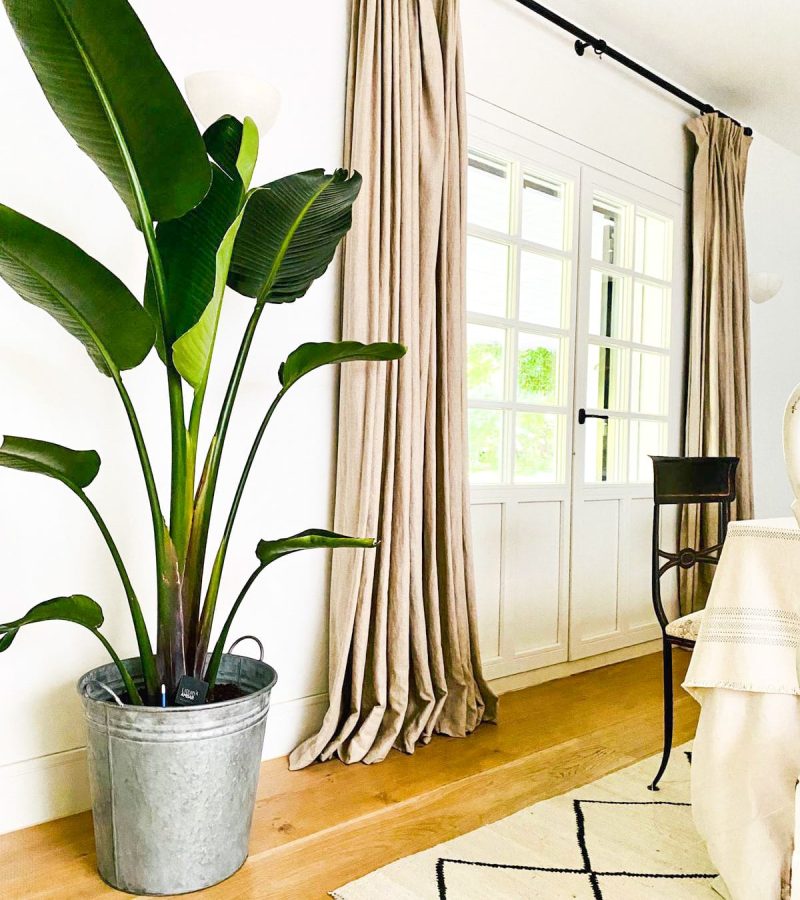 6F3A7402-4AEC-400D-B6FC-B6DAA445845D