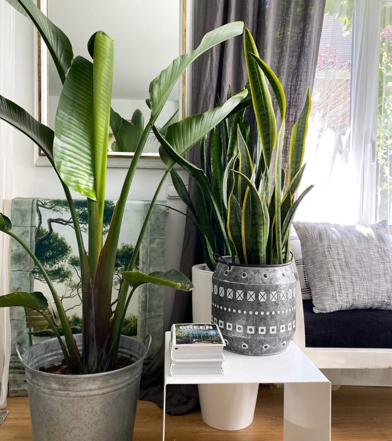 B0CA856A-C5CB-4D98-A1A4-CC512A1DD9AE